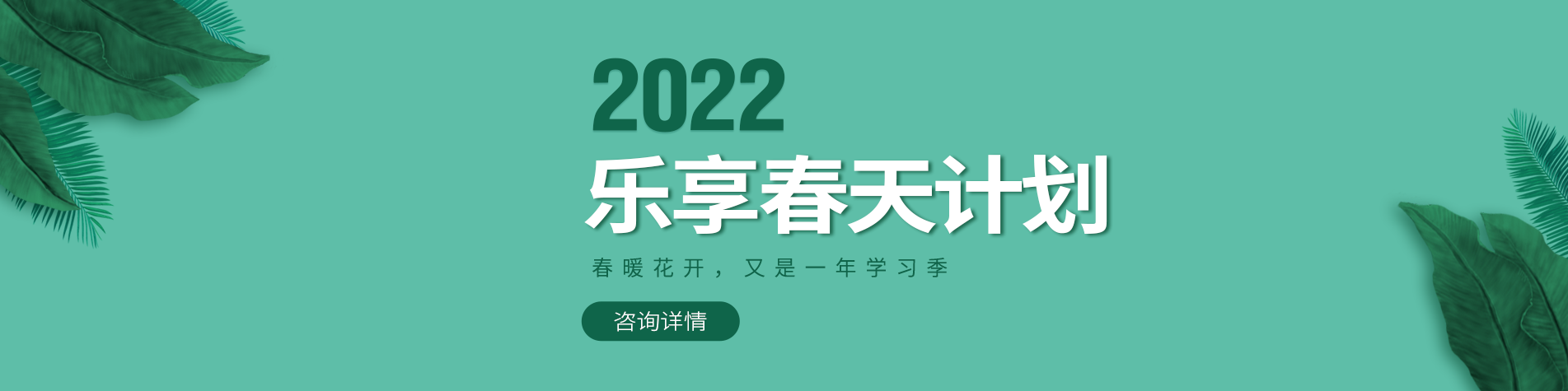 啊啊啊好爽啊骚逼啊啊啊插进去啊啊视频网站